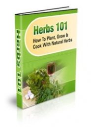 Herbs 101