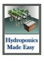 Hydroponics Made Easy