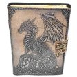 Dragon on Rock aged looking paper leather w/ latch