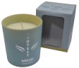 22 hr Mikael Protection archangel candle