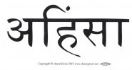Ahimsa bumper sticker