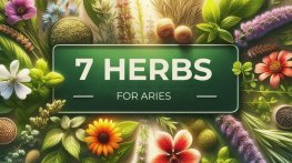 Aries: 7 Power Herbs Every Aries Needs to Control Their Fire ♈ | CGH News