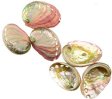 2" -3" Abalone Shell burner