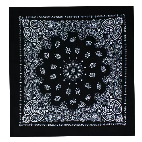 (12 Pack) Black Paisley Bandana