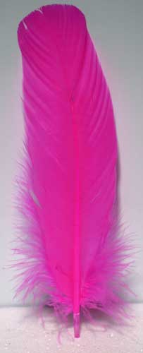 (Set of 10) Pink feather 12\"
