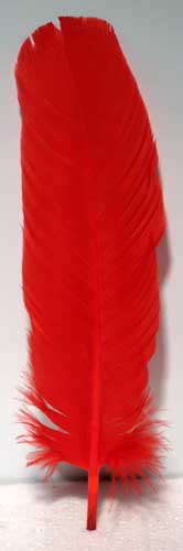 (Set of 10) Red feather 12\"