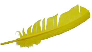(Set of 10) Yellow feather 12\"