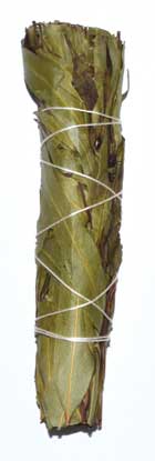 4\" Eucalyptus Citridora smudge stick